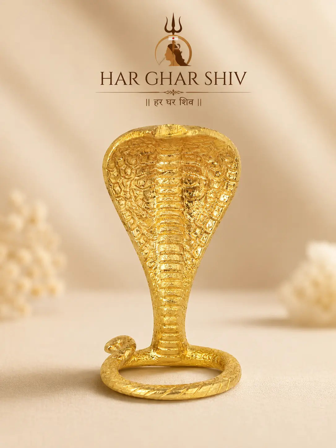 HAR GHAR SHIV Sawan Special Complete Shiv Pooja Kit with brass Kalash stand, Narmada jal, Trishul and bell