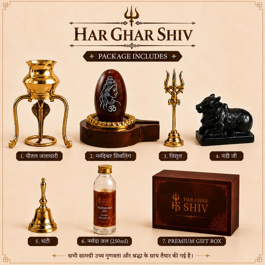 Sawan special Shivling pooja kit with brass Trishul, Nandi Ji, bell and Nag Devta