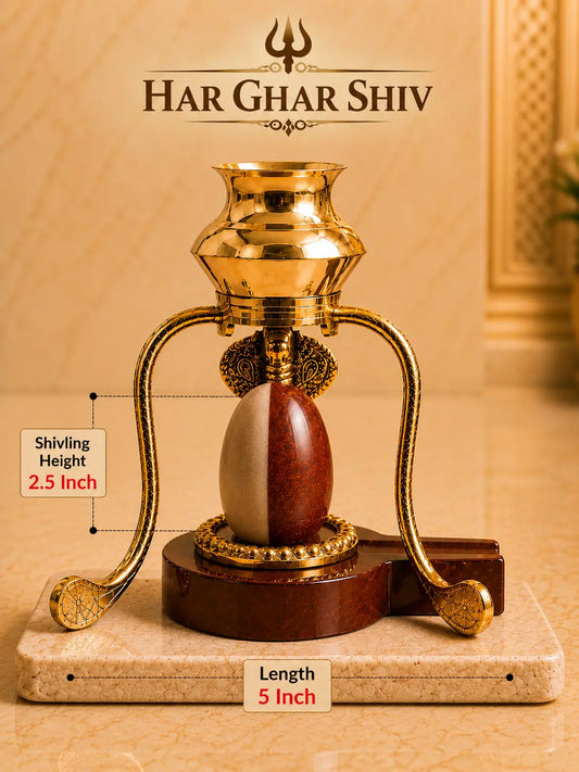 Ardhanarishwar Shivling close-up showing natural Narmada stone carving