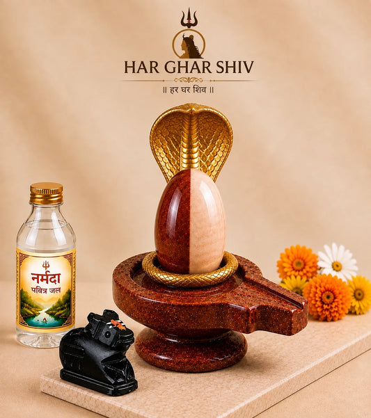 Ardhanarishwar Shivling – 100% Natural Narmdeshwar product photo
