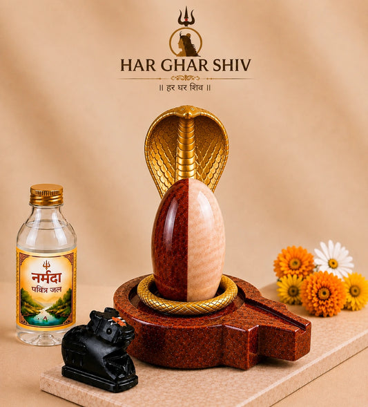 Ardhanarishwar Shivling – 100% Natural Narmdeshwar – additional product photo